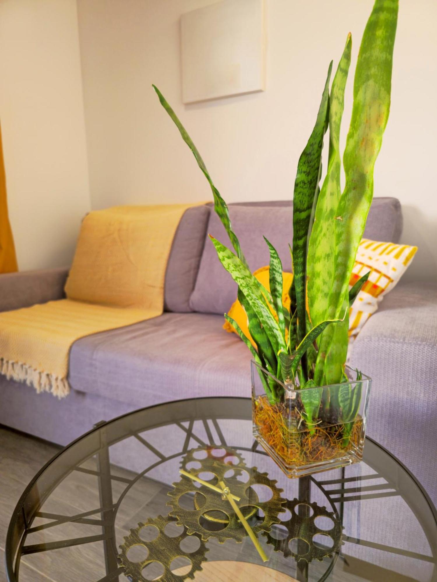 Brand New Private Modern Apartment With Patio And Sea View Calheta (Madeira) Exterior foto